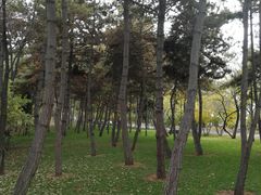 -兰山公园