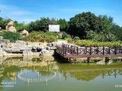 -北京西山国家森林公园