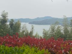 -天目湖涵田半山温泉