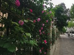-黄浦路(地铁站)