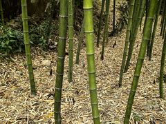 -太湖源风景区