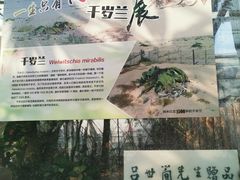 -北京植物园-展览温室