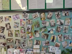 -爱妮康宠物医院·干细胞免疫细胞·肿瘤·心脏(张江店)