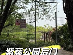-嘉定紫藤园