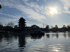 -桂湖森林公园