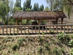 -石家庄市动物园