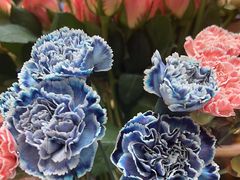 -BoBloom花店(晶耀前滩店)