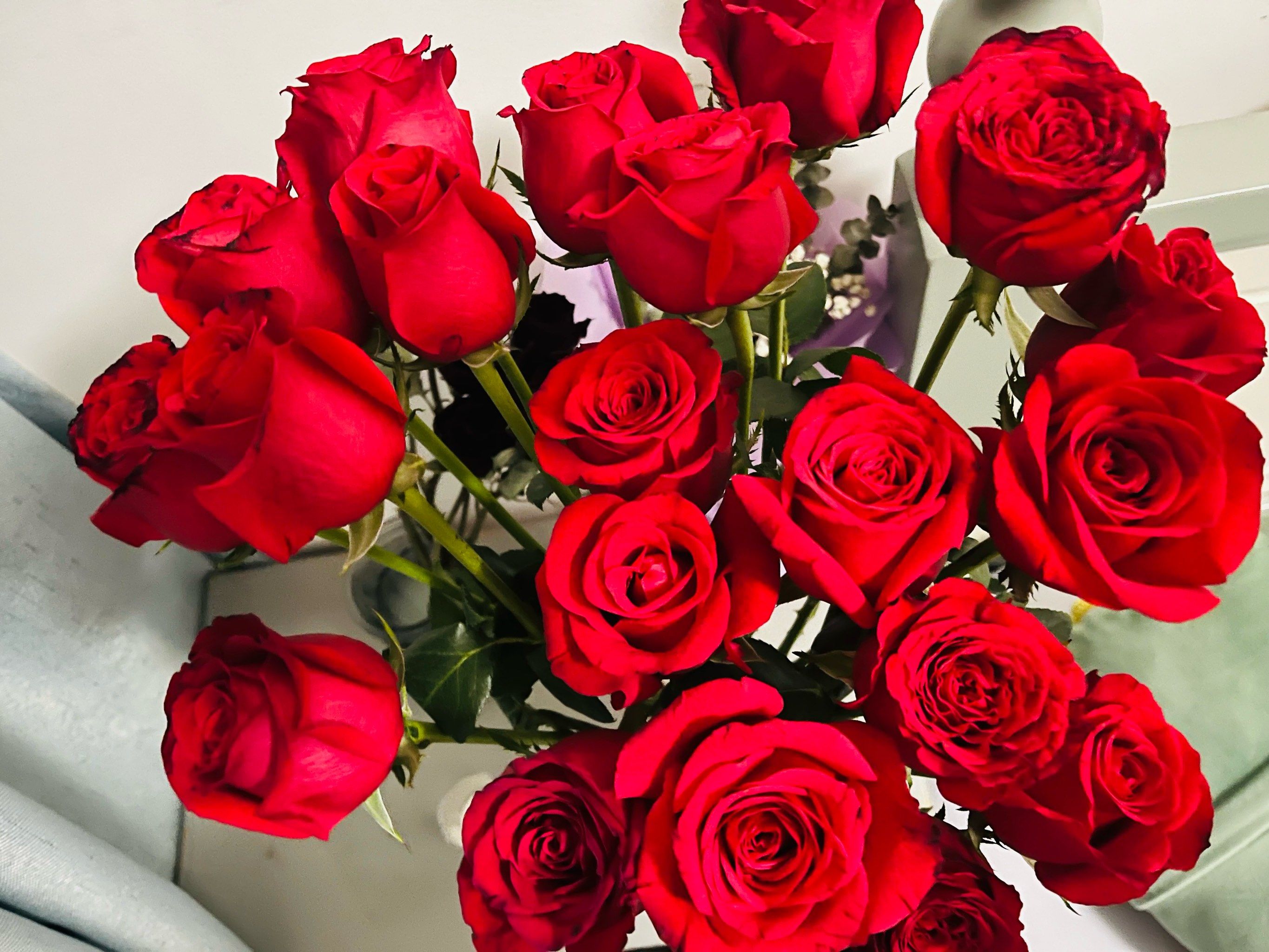 玫瑰色的浪漫一角