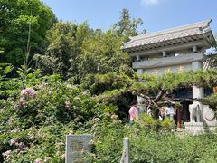 -千佛山风景名胜区
