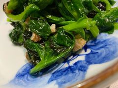 梅香咸鱼头手紫菜炒豆苗-广舟(千禧店)