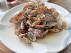 -鲁前海沿儿