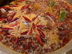 牛油红锅-小龙坎火锅(双林店)