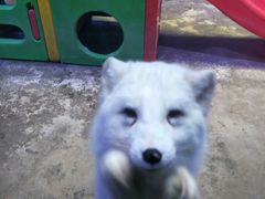 -芜湖新华联大白鲸海洋公园