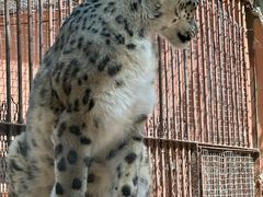 -青藏高原野生动物园