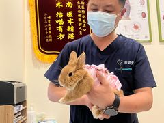 -美迦爱-牙专科·兔科·骨科诊疗中心(北苑店)