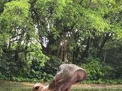 -广州长隆飞鸟乐园