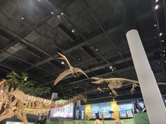 -国家自然博物馆