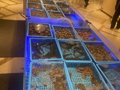 -青岛蓝海御华大饭店（金沙滩店）·蓝钻国际美食自助百汇