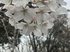 -堤角公园