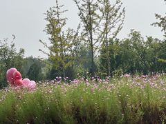 -东郊湿地公园