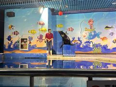 -太平洋海底世界博览馆·展览厅