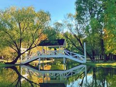 -上海共青森林公园