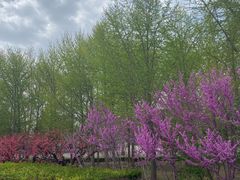 -the rug 飞毯 (朝阳公园店)