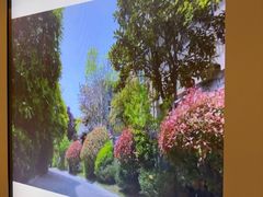 -芭东小镇温泉