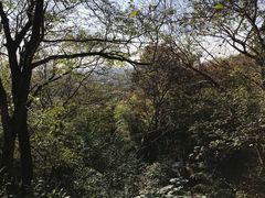 -上海佘山国家森林公园西佘山园