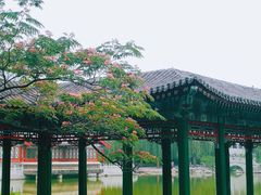 -宣武艺园