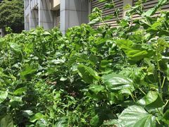 -上海昆虫博物馆