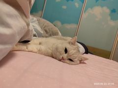 -联合动物医院(光谷诊疗中心)