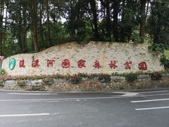 -广州市流溪河国家森林公园