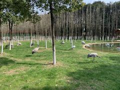 -艾溪湖湿地公园