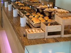-芽庄喜来登水疗酒店