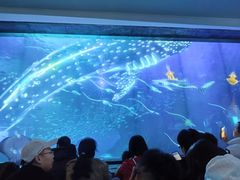 -海合安成都极地海洋公园