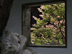 -秋霞圃