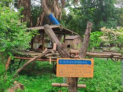 -柳州市动物园