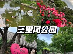 -三里河公园