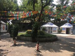 -巴山一绝烤全羊(三圣乡刘家花园店)