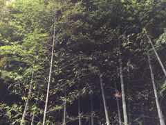 -苏州环秀晓筑养生度假村