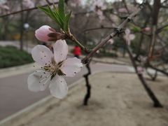-方庄体育公园