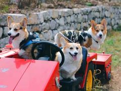 -北京山里寒舍度假酒店