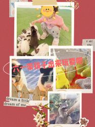 -萌宠亲子动物乐园(槐房万达店)