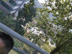 -广州雕塑公园