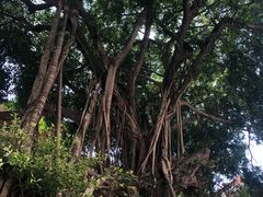 -厦门市鼓浪屿风景名胜区-天主教堂