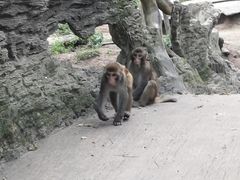 -木兰云雾山