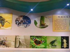 android_upload_pic-上海昆虫博物馆