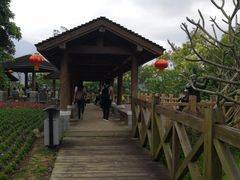 -广州市流溪河国家森林公园