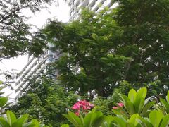 -深圳来福士广场